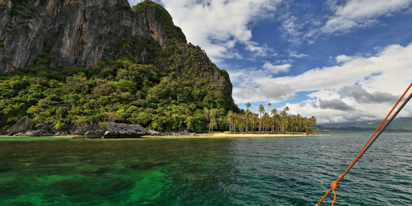 Charting a New Course