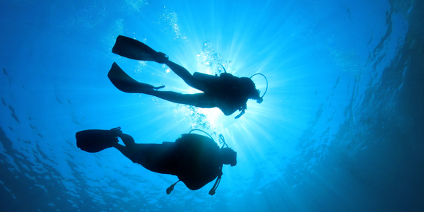 Facing My Fears and Protecting Sharks