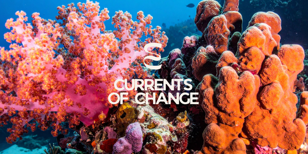 Introducing Currents of Change